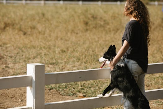 Decoding the Lifelong Financial Commitment: The True Long-Term Cost Structure of Pet Ownership