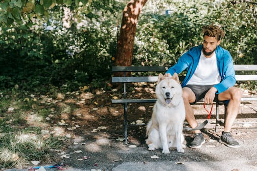 Beyond the Leash: Rethinking Responsibility Frameworks for Pet Owners
