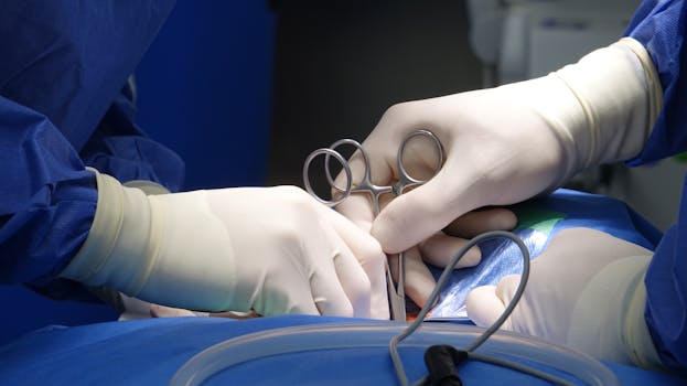 When Tails Wag After Tiny Tweaks: Understanding Pet Surgery & Recovery