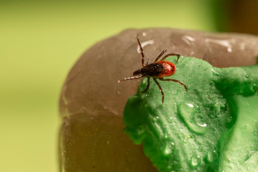 Stop Parasites Before They Start: Smarter Management & Control Systems