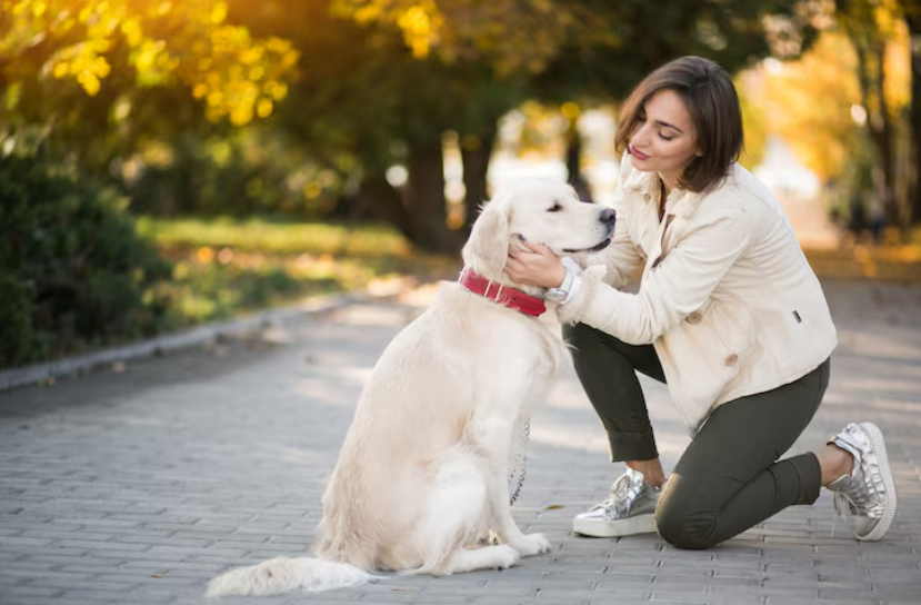 6 Signs That May Indicate Allergies in Dogs