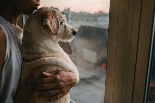 Your Anxiety is Their Anxiety: Understanding How Owner Stress Affects Dog and Cat Behavior