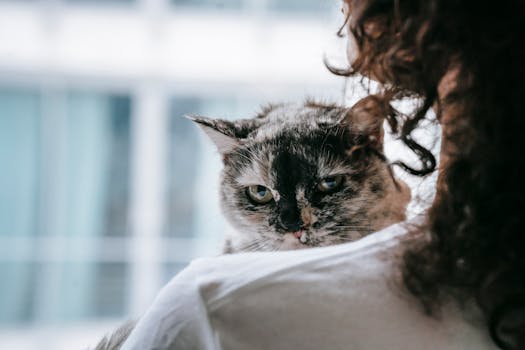 Is Your Pet Acting Off? The Silent Struggle of Hormonal Imbalance in Pets (Thyroid, Cortisol, Insulin Symptoms)