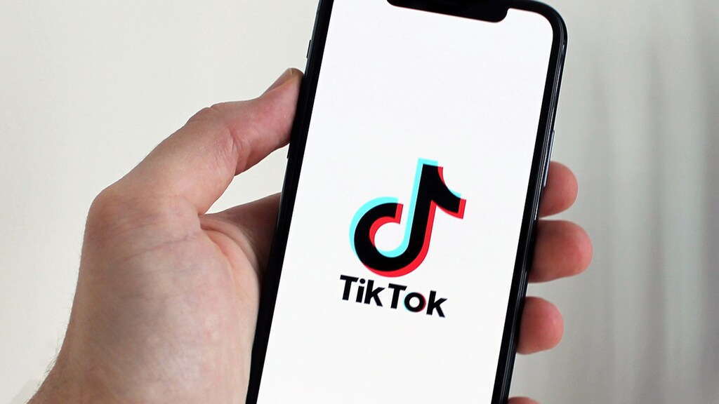 TIKTOK: ‘ ART OF THE ZOO’ MEANING EXPLAINED – VIRAL TREND LEAVES USERS DISTURBED!