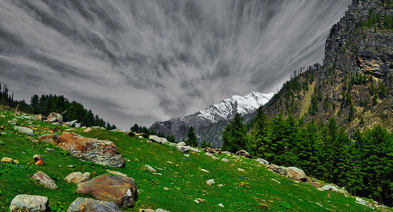 5 BEST CAMPING DESTINATIONS IN MUMBAI