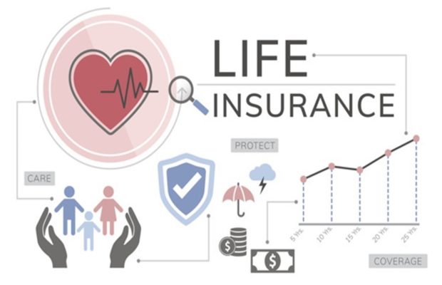 Life Insurance Plans 2022, How to Claim, basics, policies, Rules